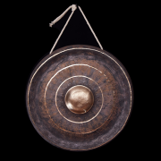 BAO GONG WH008